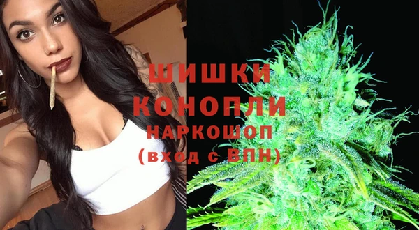 молекула духа Армянск