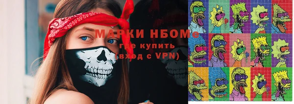 индика Баксан