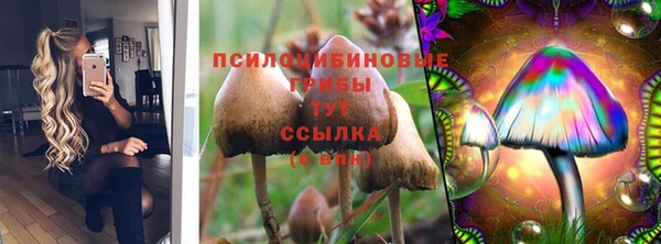 герыч Аркадак