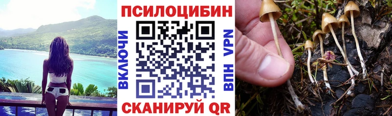 Купить закладки  Старая Купавна  Галлюциногенные грибы Cubensis 